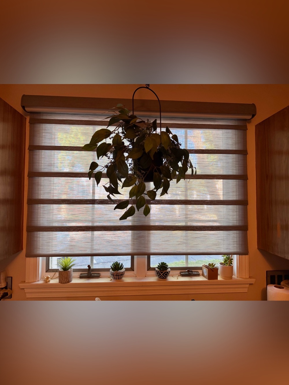 Hunter Douglas Vignette Roman Duo lite/room darkening Motorized 51.25" x 40".